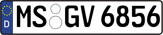 MS-GV6856