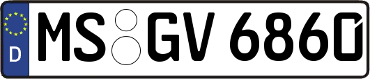 MS-GV6860