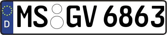MS-GV6863