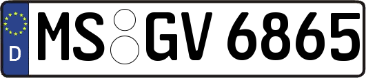 MS-GV6865