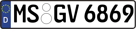 MS-GV6869