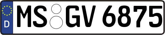 MS-GV6875