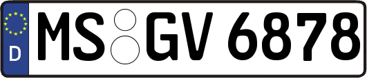 MS-GV6878