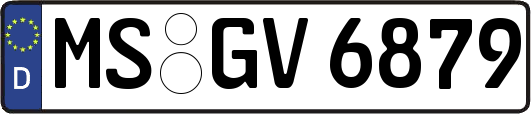 MS-GV6879