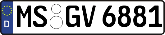 MS-GV6881