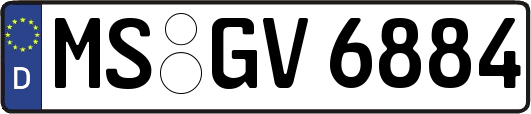 MS-GV6884