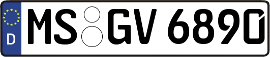 MS-GV6890