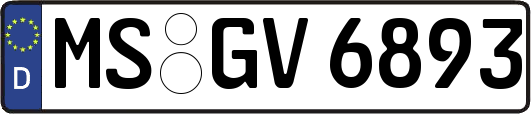 MS-GV6893