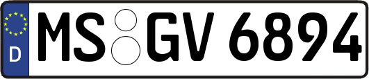 MS-GV6894
