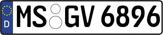 MS-GV6896