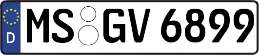 MS-GV6899
