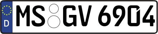 MS-GV6904