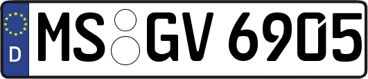 MS-GV6905