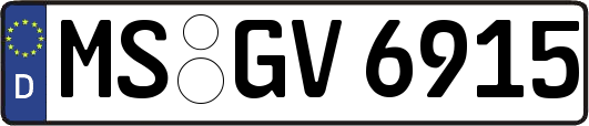 MS-GV6915