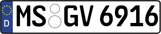 MS-GV6916