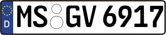 MS-GV6917