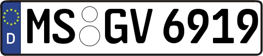 MS-GV6919