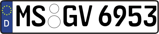 MS-GV6953
