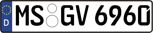 MS-GV6960