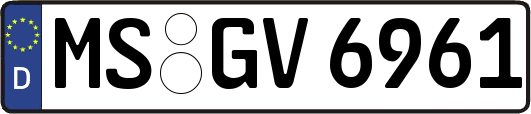 MS-GV6961