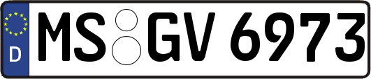 MS-GV6973