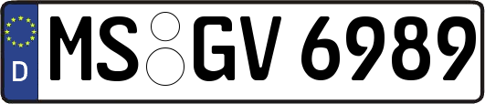 MS-GV6989