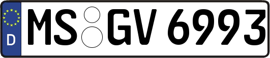 MS-GV6993