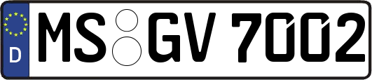 MS-GV7002