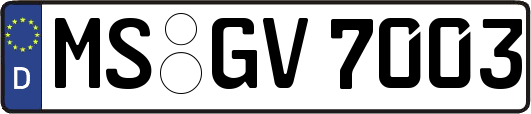 MS-GV7003
