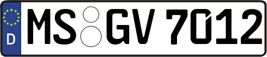 MS-GV7012