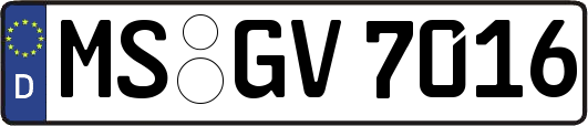 MS-GV7016