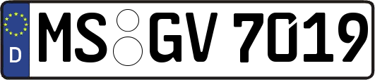 MS-GV7019
