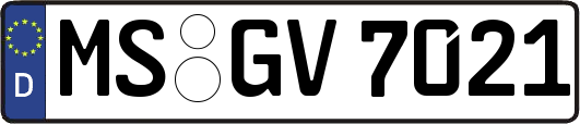 MS-GV7021