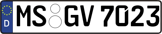 MS-GV7023