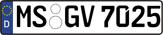MS-GV7025