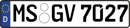 MS-GV7027