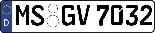MS-GV7032