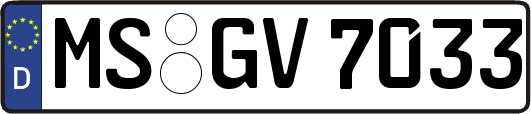 MS-GV7033