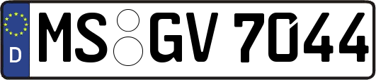 MS-GV7044