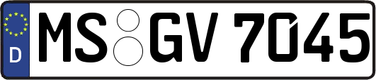 MS-GV7045