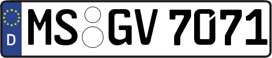 MS-GV7071