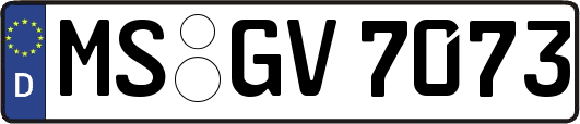 MS-GV7073