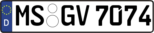 MS-GV7074