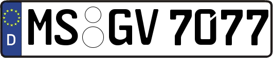 MS-GV7077