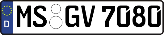 MS-GV7080