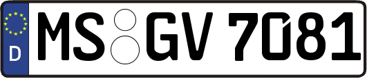 MS-GV7081