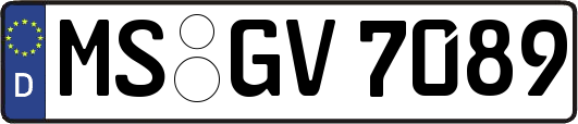 MS-GV7089