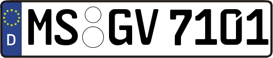 MS-GV7101