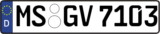 MS-GV7103