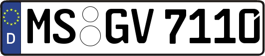 MS-GV7110